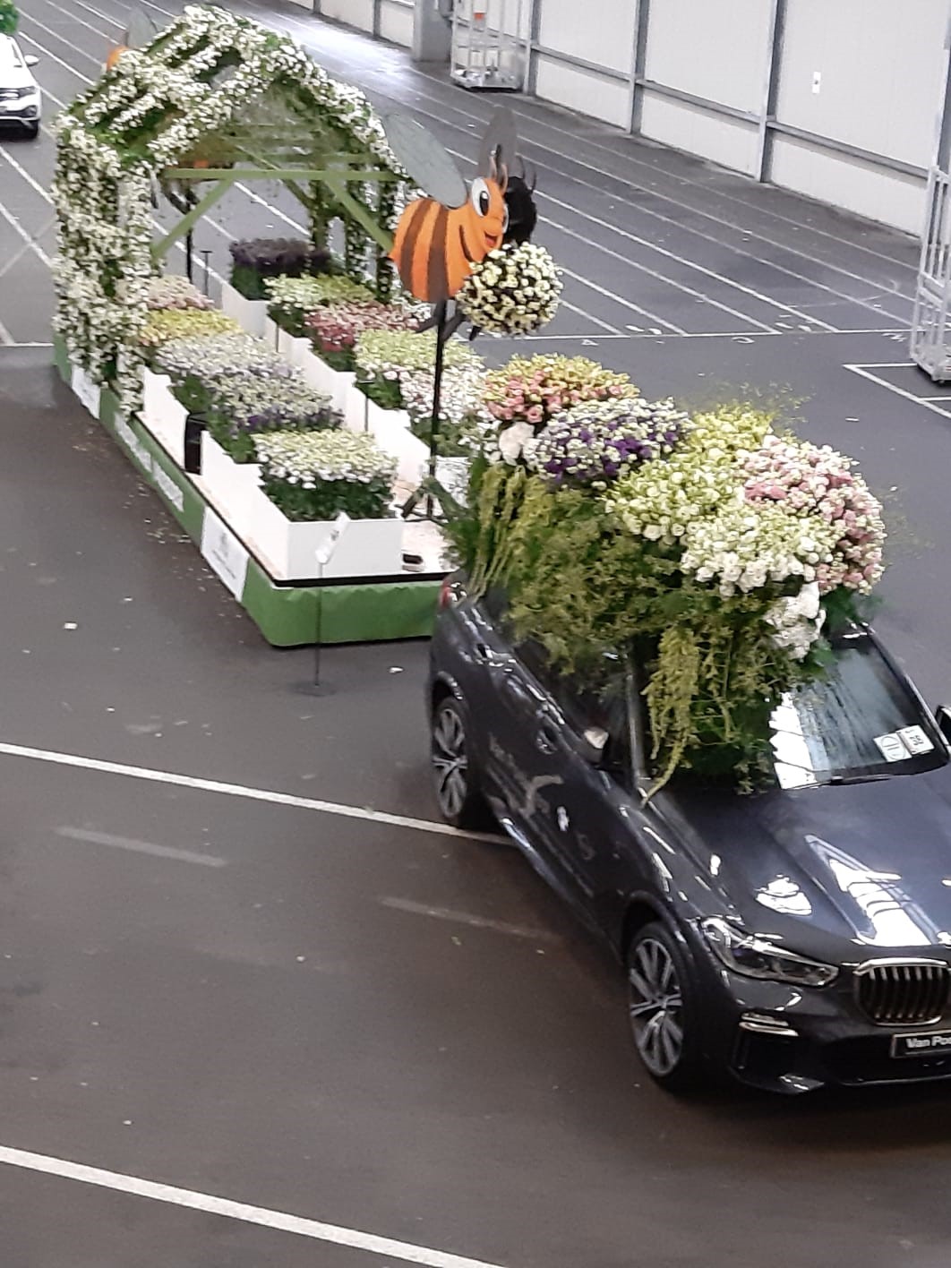 Flower Parade Greenhouse Noordwijkerhout Lisianthussen 3