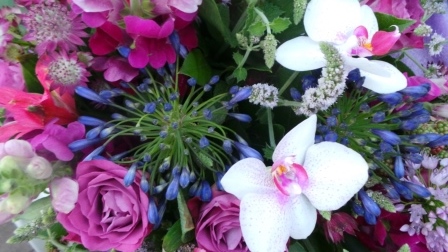 Diverse bloemen