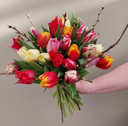 Gemengde_tulpen_2_2.jpg